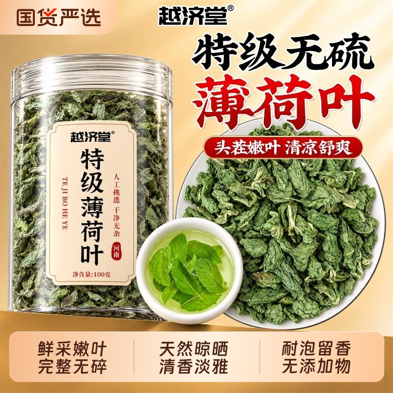 特级新鲜薄荷叶干薄荷叶泡茶泡水喝中药材食用清凉茶花茶新货茶叶