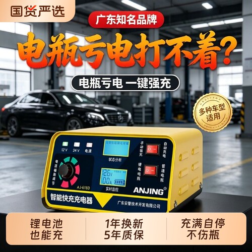 加粗铜线大功率充电器可充锂电