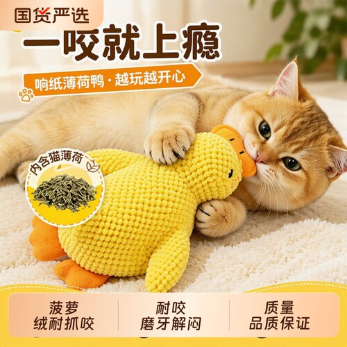 猫玩具自嗨猫咪耐咬磨牙响纸小猫毛绒薄荷玩具宠物用品逗猫棒解闷