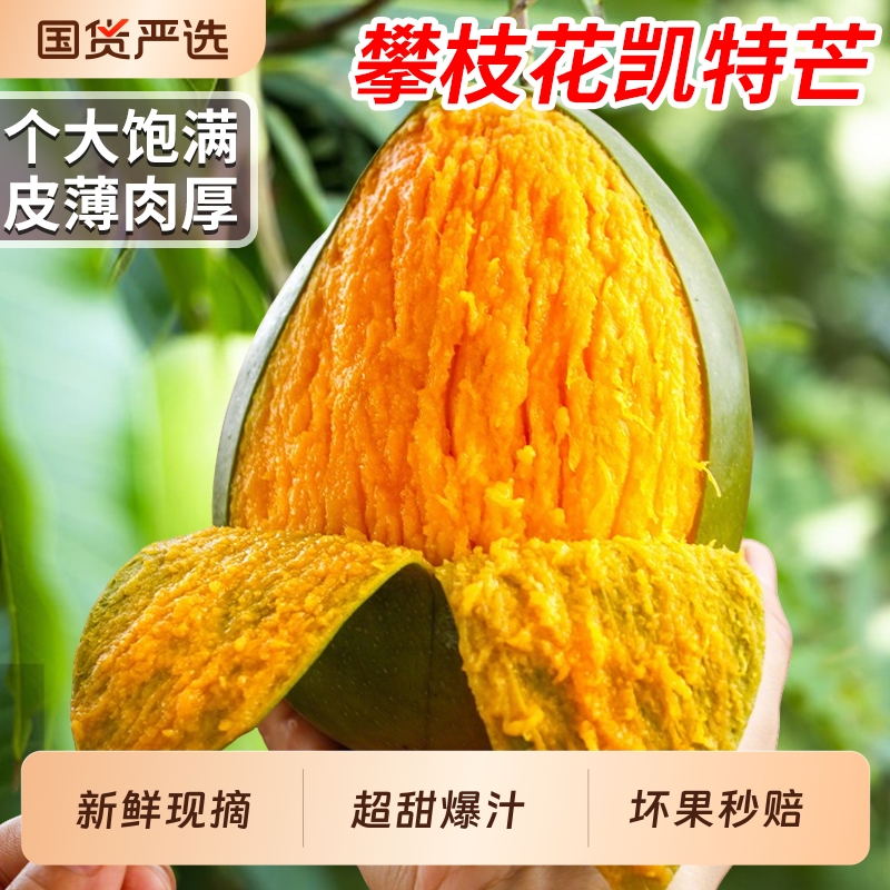 正宗凯特芒礼盒精品大果爆甜多汁