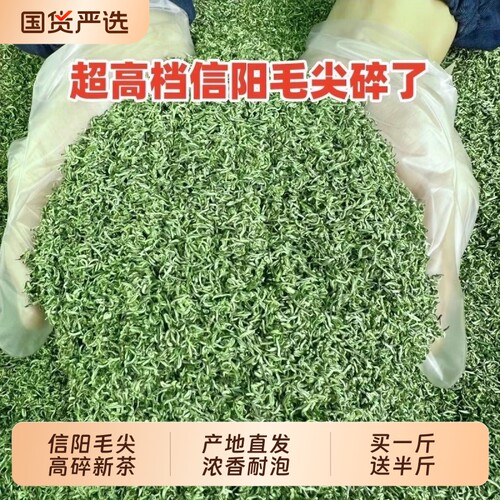 2026新茶叶信阳毛尖绿茶特级碎茶高山嫩芽茶末散装口粮茶500g袋装