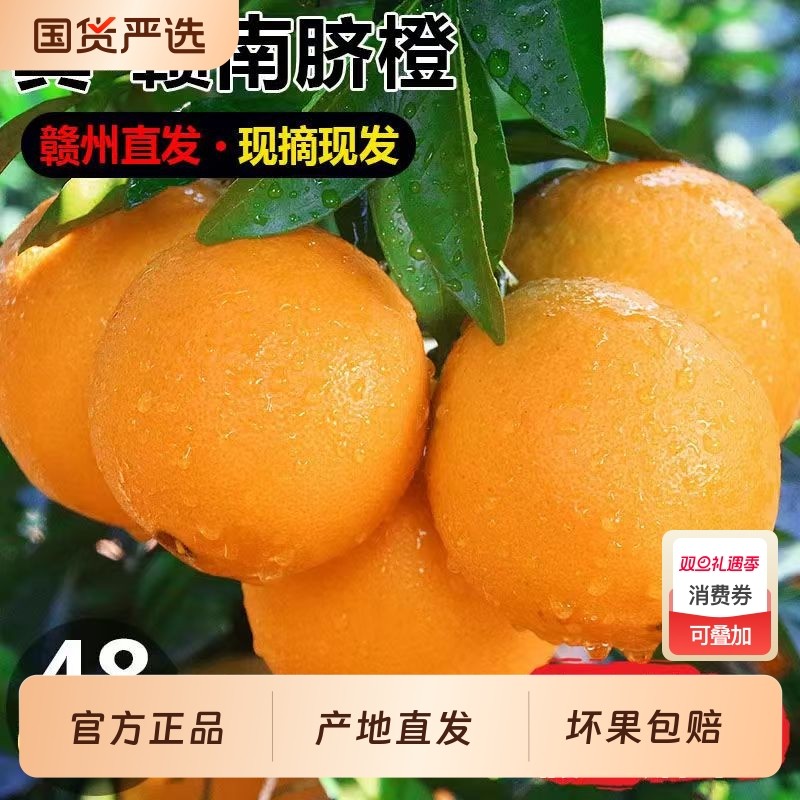 渝见橙正宗江西赣南脐橙当季新鲜水果甜橙子手拨橙纽荷尔脐橙箱装