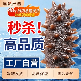 优质即食海参辽刺参即食500g鲜活辽参海生刺参单个真空独立包装