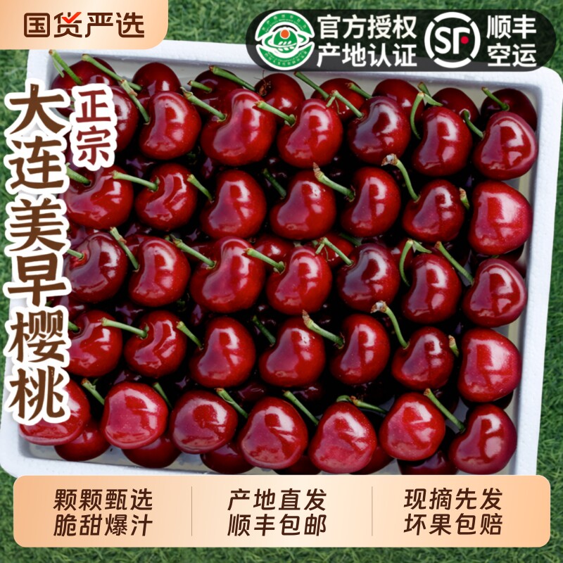 大连美早大樱桃新鲜水果顺丰包邮装当季整箱5J孕妇国产车厘子时令