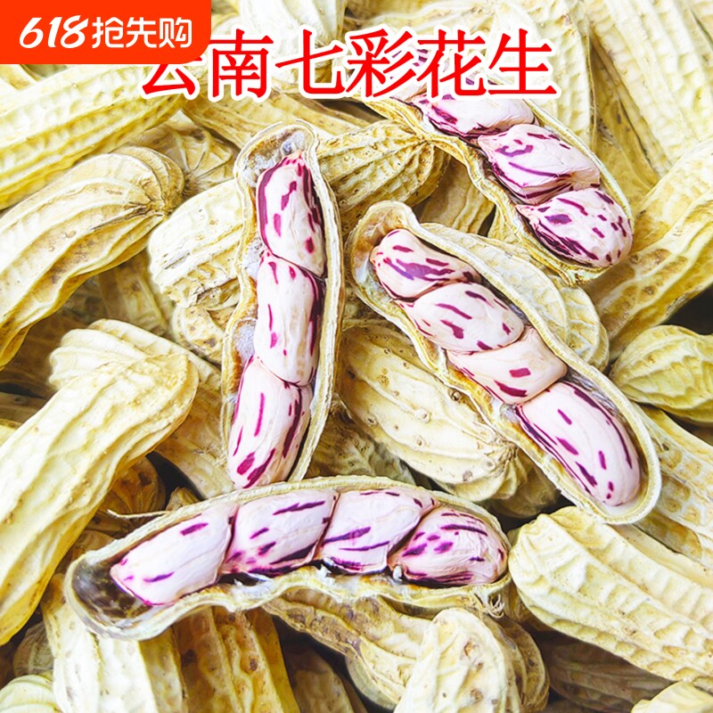 云南新货七彩花生带壳富硒云南黑花生七彩花生种野地水果花生礼盒