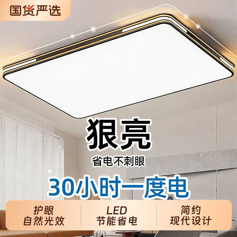 2026新款大气简约吸顶灯图片