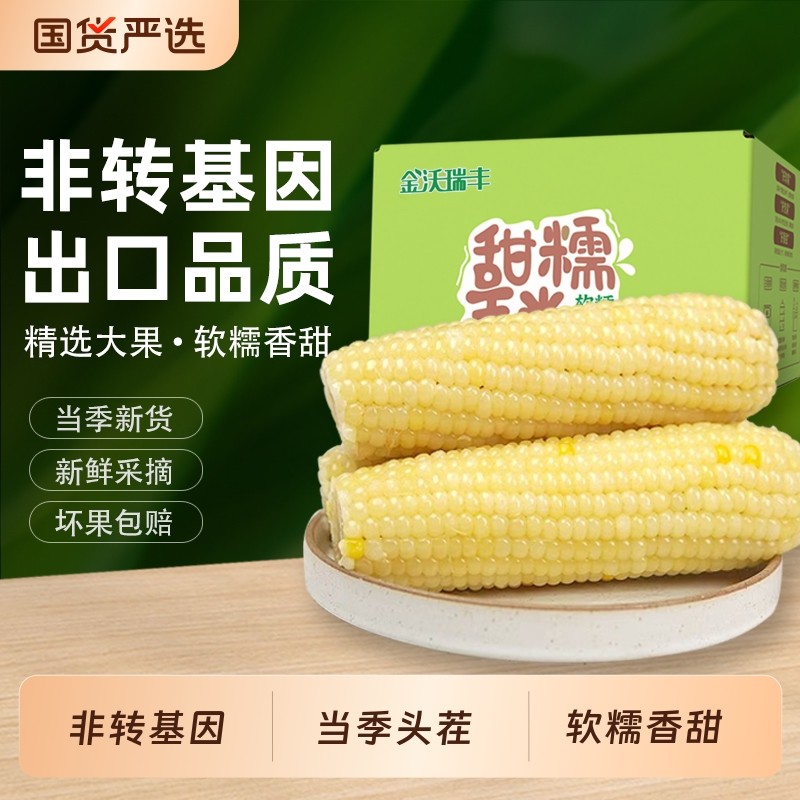 非转8根大棒白糯玉米现摘甜鲜糯甜非即食东北黏苞米真空装包装袋