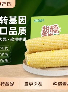 非转8根大棒白糯玉米现摘甜鲜糯甜非即食东北黏苞米真空装包装袋