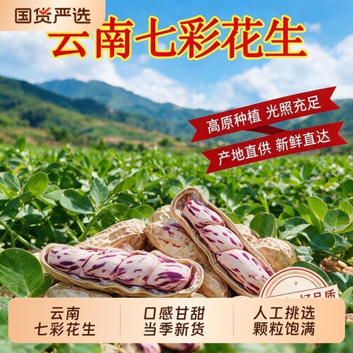 云鲜赞云南七彩花生水煮咸干花生米带壳生熟新鲜零食原味晒干新货