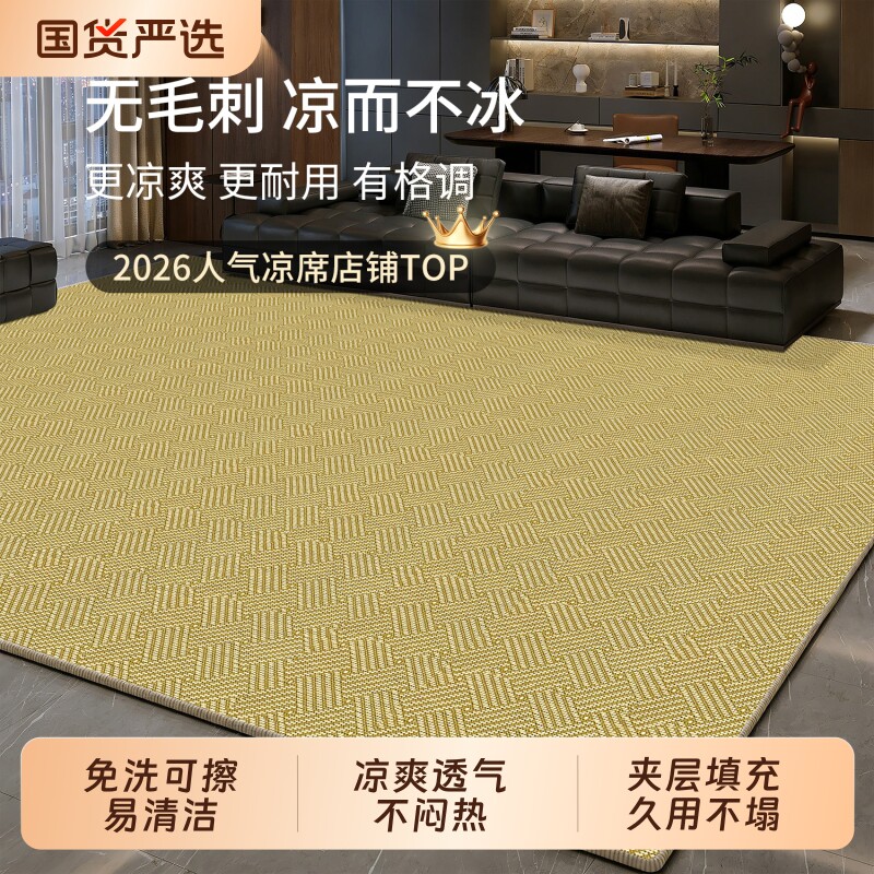 夏季凉席地垫客厅地毯家用卧室床边毯榻榻米飘窗垫加厚防滑藤席垫