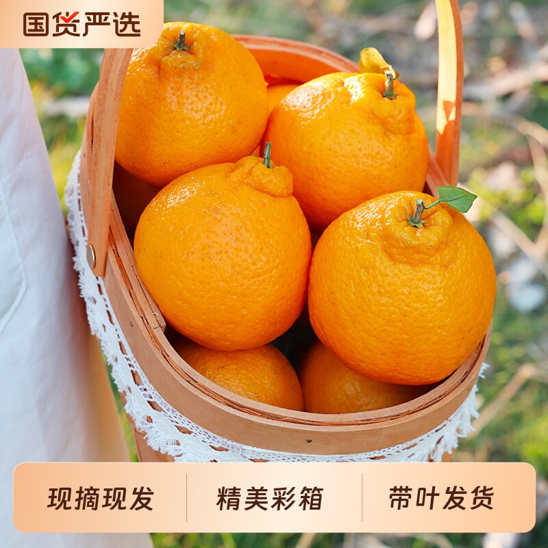 四川不知火丑橘水果新鲜整箱8包邮斤当季桔子耙耙粑粑斤丑柑橘子