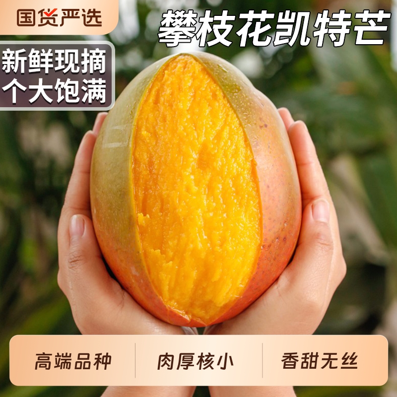 正宗凯特芒精品大果爆甜多汁