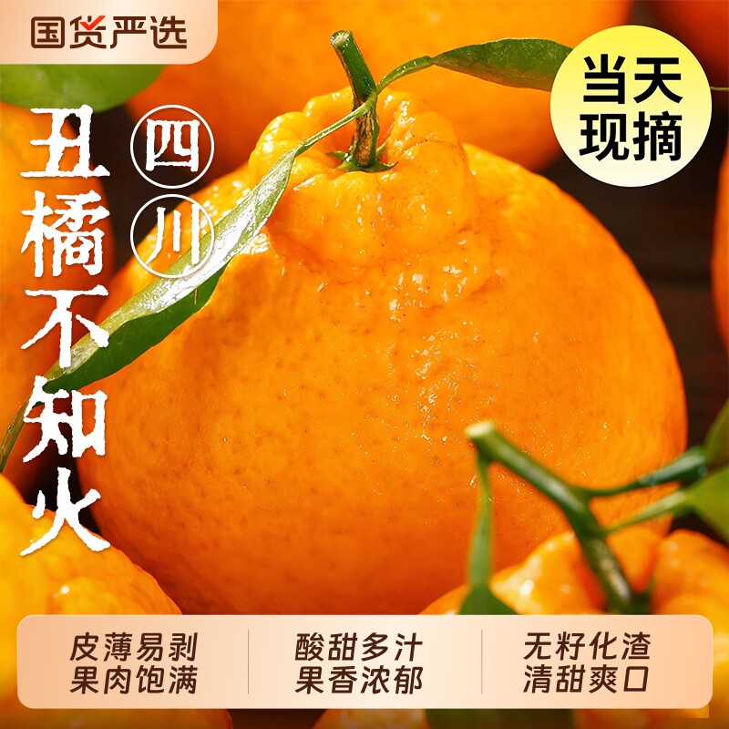 四川不知火丑橘水果新鲜整箱四川特产桔子耙耙柑丑柑橘子现摘