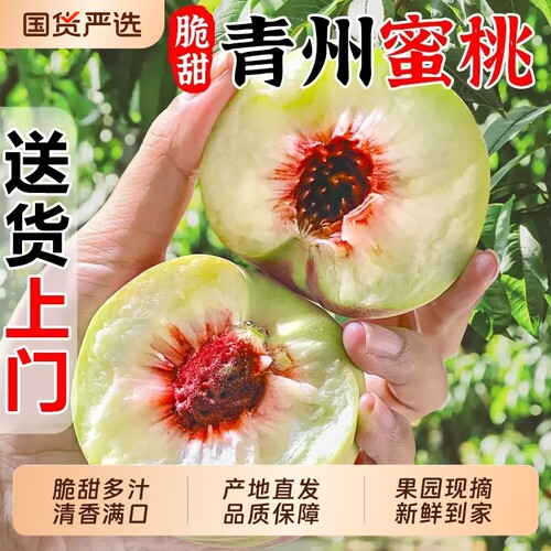 【青州蜜桃5斤精品装】脆甜多汁
