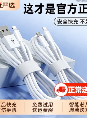 【30W认证快充】zpv官方适用苹果13充电线器iPhone14数据线头12原ipad装11手机15双typec正PD品16平板17专用