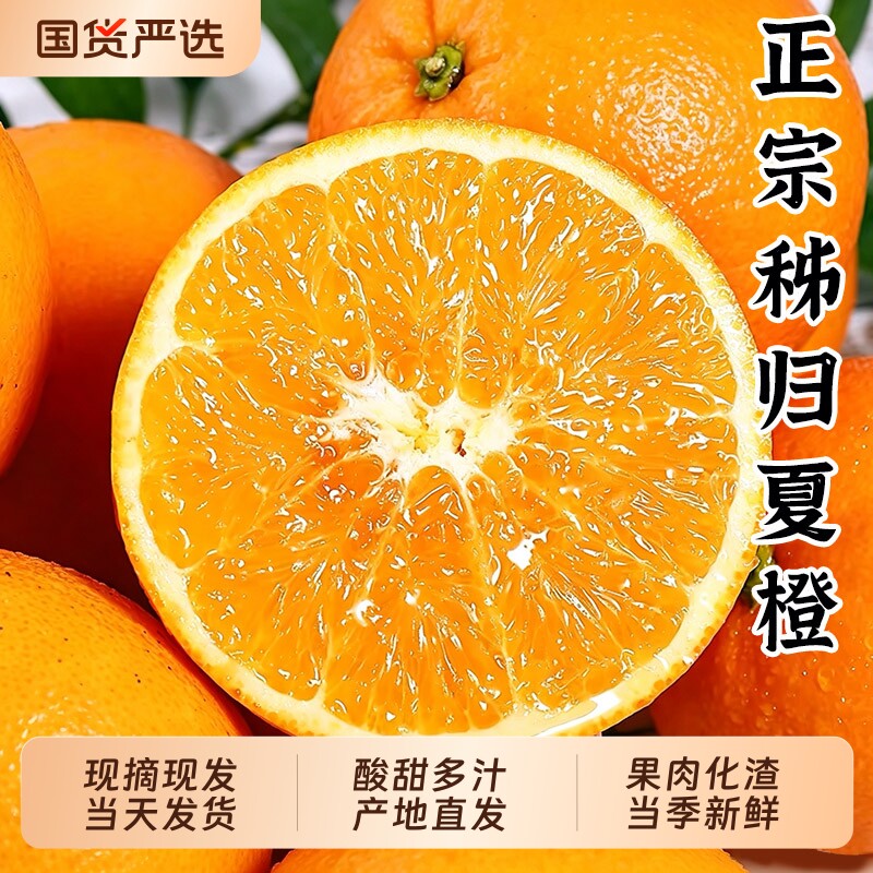 正宗夏橙秭归水果新鲜当季整箱榨汁橙冰糖果冻脐橙甜橙子直发图片