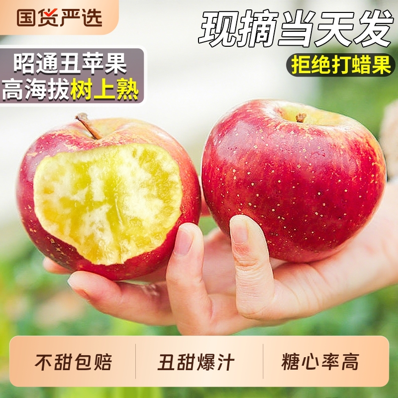 【现摘次日达】云南昭通丑苹果！