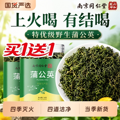 蒲公英正品特级野生中药材蒲公英茶官方旗舰店菊花养肝去火结节