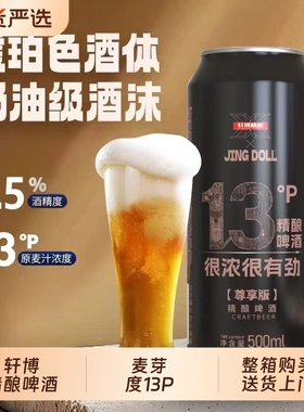 轩博精酿啤酒13P德式小麦白啤500ml原浆啤酒大桶