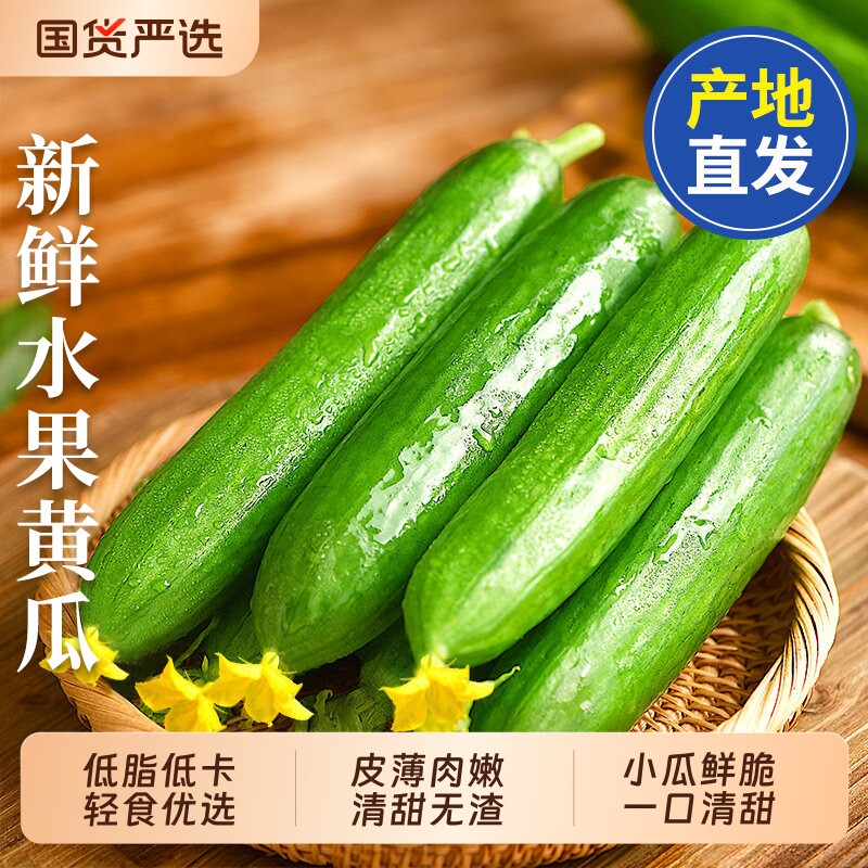 水果黄瓜5斤新鲜小黄瓜脆甜无刺生吃蔬菜包邮自提生鲜现摘凉拌