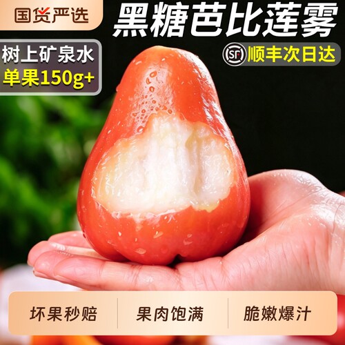 顺丰正宗黑糖芭比莲雾当季新鲜水果现摘树上熟特大果多汁整箱包邮