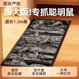 老鼠贴强力粘鼠板家用一窝端抓粘大老鼠胶正品 灭鼠魔毯驱捕鼠神器