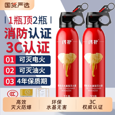 车载灭火器21B水基年检消防器材