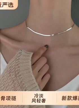 925纯银蛇骨项链女choker2025新款爆款ins冷淡风轻奢小众锁骨颈链