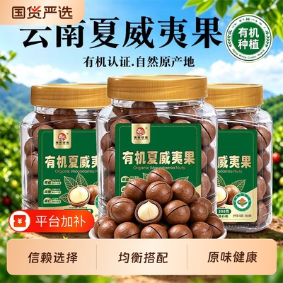 有机特大夏威夷果坚果508g罐装奶
