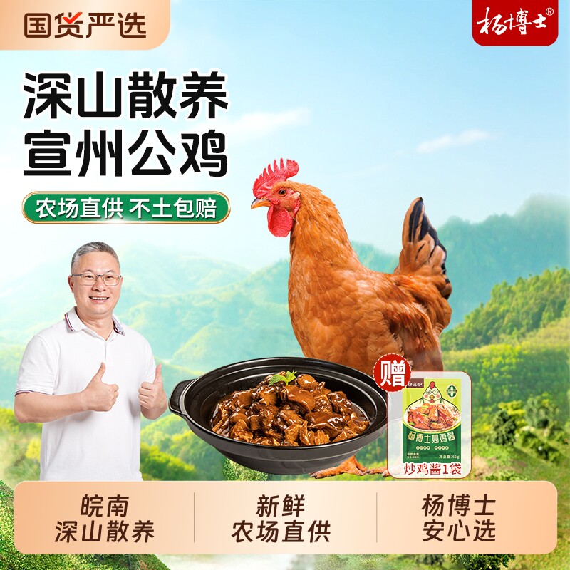 杨博士宣州鸡深山散养土鸡未打鸣公鸡新鲜童子鸡整只红烧皖南农场