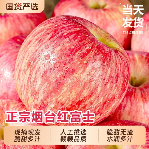 正宗山东烟台红富士苹果新鲜