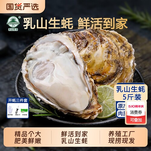 鲜活直发乳山生蚝牡蛎烧烤食材