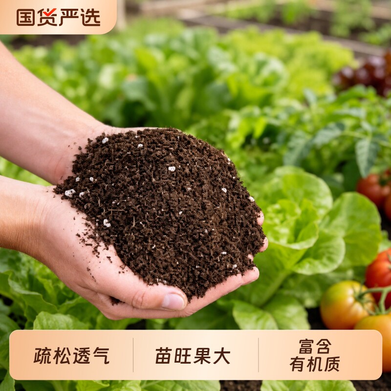 营养土种菜专用土阳台土壤种植土泥炭土蔬菜有机土育苗土花土养花