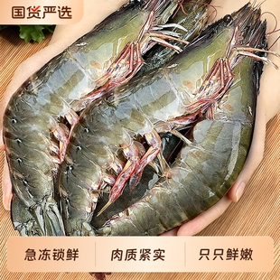 【冠鲜行动】厄瓜多尔白虾3斤