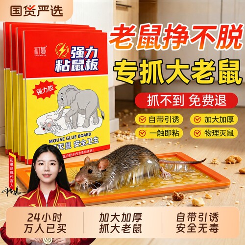 冠军代言!老鼠粘强力粘鼠板HOT.1