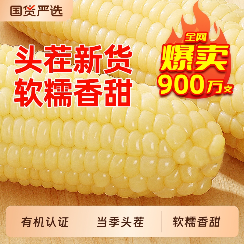 金沃瑞丰常温避光保存甜糯玉米