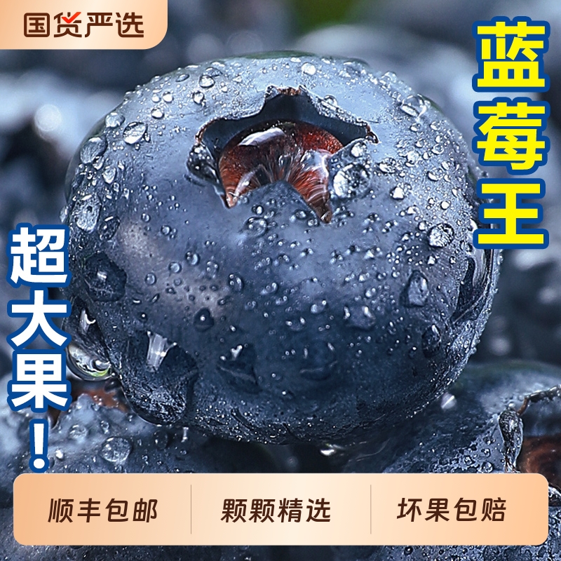 新鲜蓝莓超大果【热卖TOP商家】