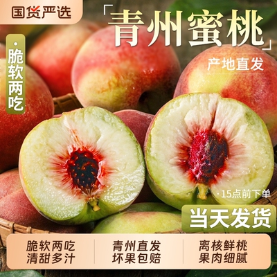 正宗青州蜜桃山东冬桃新鲜水果
