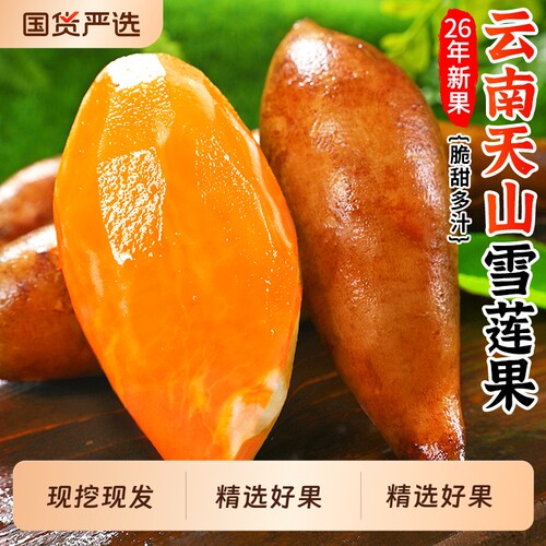 雪莲果3斤装|超1000次加购