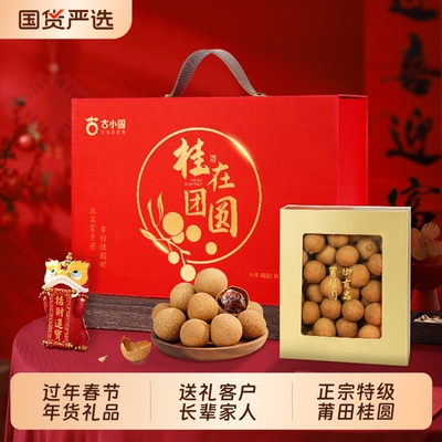 春节年货莆田桂圆27mm桂圆干特级礼盒龙眼团购送礼团圆长辈古法