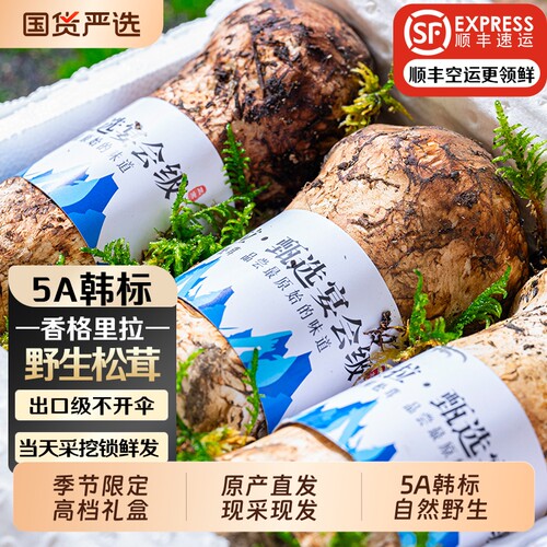 正宗香格里拉新鲜松茸官方旗舰店