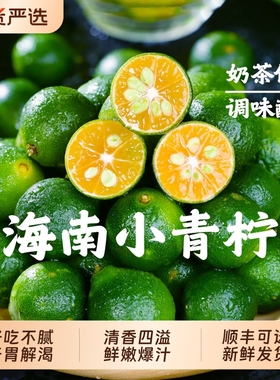 海南小金桔青桔新鲜小青柠檬青柑皮薄应季水果5斤金橘奶茶国货