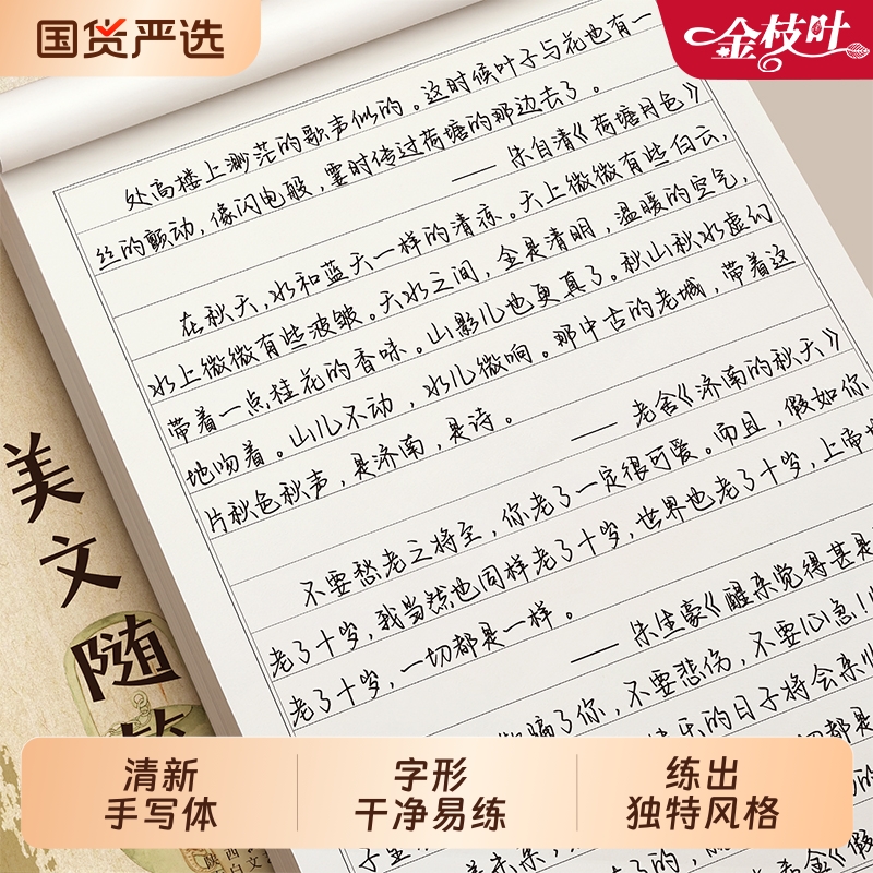 行楷字帖成人手写体成年速成