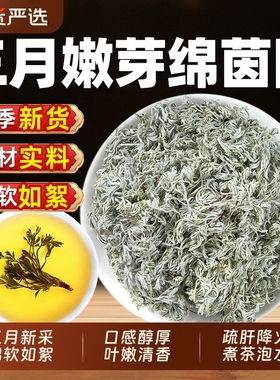 野生茵陈五味子中药材干货正品官方旗舰店新鲜白蒿三月绵茵陈泡水