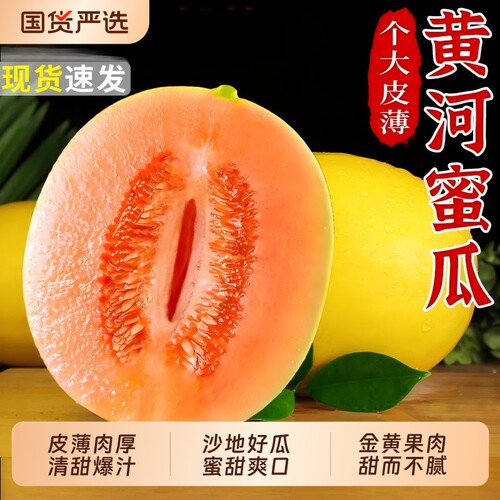 黄河蜜甜瓜当季蜜甜爽口整箱