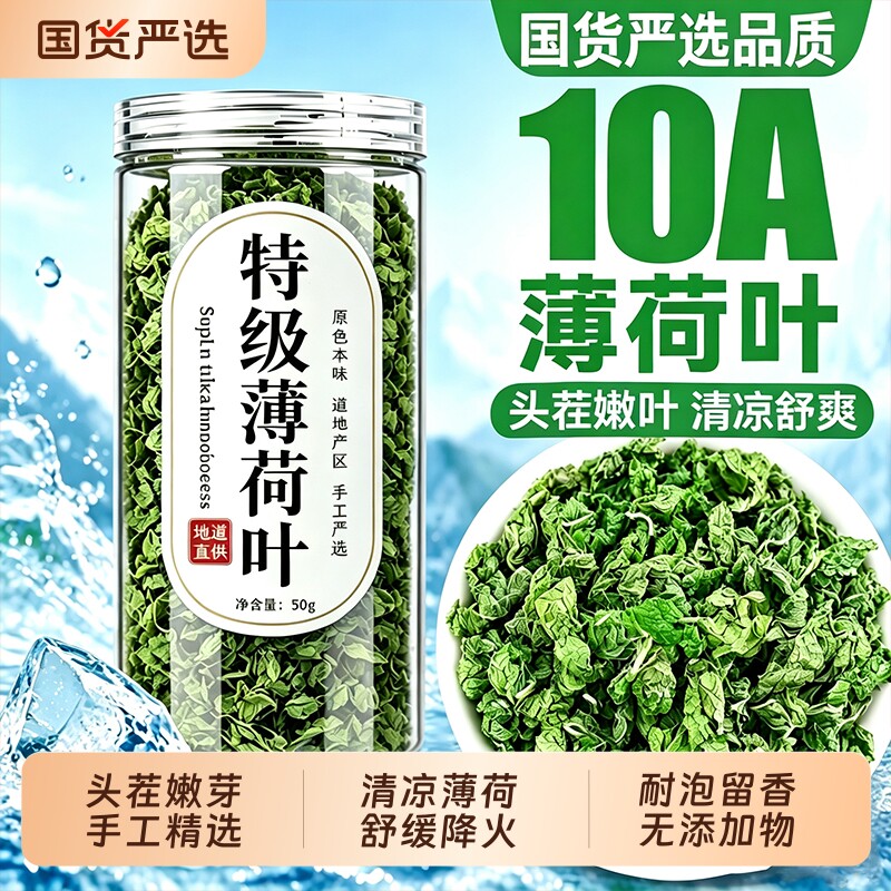 薄荷叶干特级纯薄荷茶新鲜可食用图片