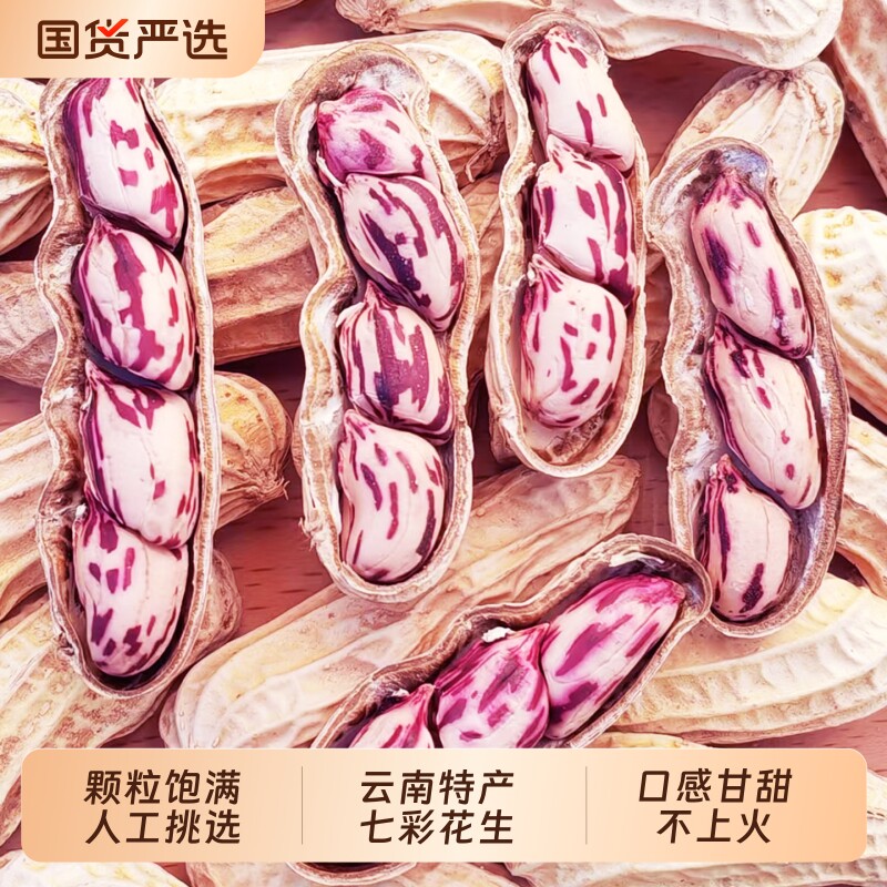 2025新货七彩花生云南普洱七彩晒干五彩花生生带壳熟花生零食