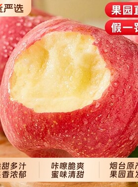 烟台红富士苹果当季斤新鲜水果整箱山东栖霞冰糖心丑平果包邮精选