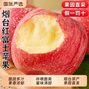 烟台红富士苹果当季斤新鲜水果整箱山东栖霞冰糖心丑平果包邮精选