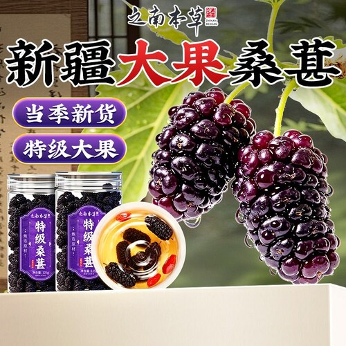 新疆原产特级桑葚干头茬大果正品